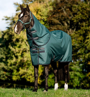 Horseware Ireland Amigo Ripstop 900D Plus Turnout - Dynasty Green/Navy & Silver (200g)